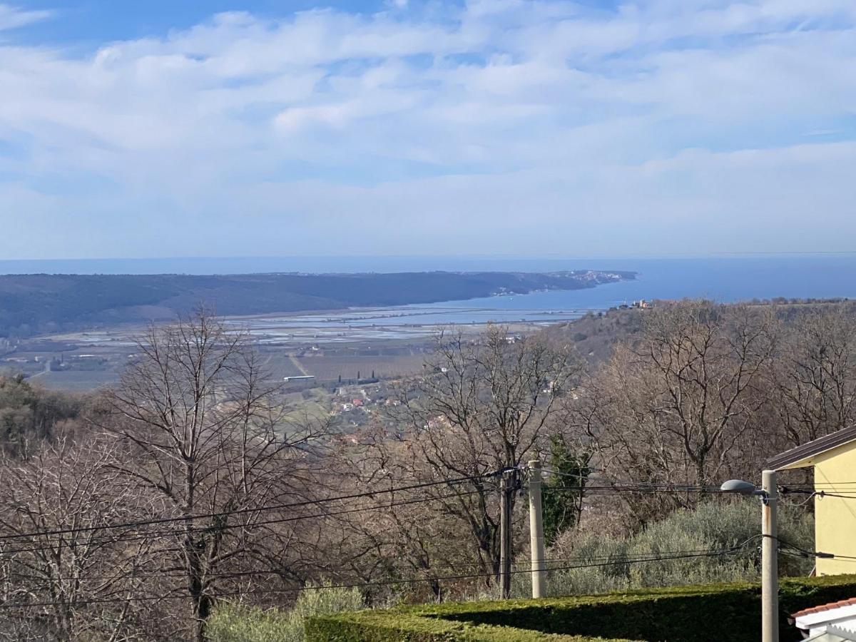 Sea View Istrian Countryside Apartment - Rota Dragonja Kültér fotó